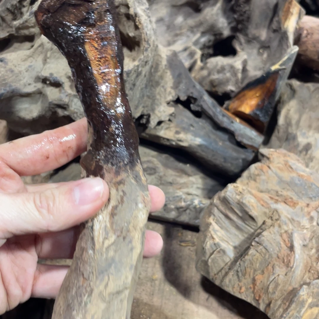 忘***初扇子贡木原料直发直发