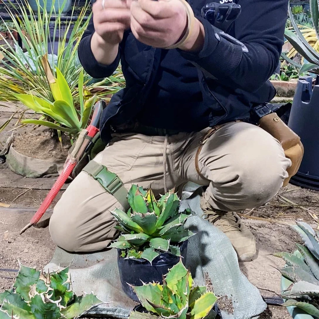 玉****蟆姬仁2159一颗