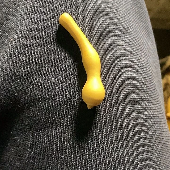 花*物达拉斯小牛电动汽车电动