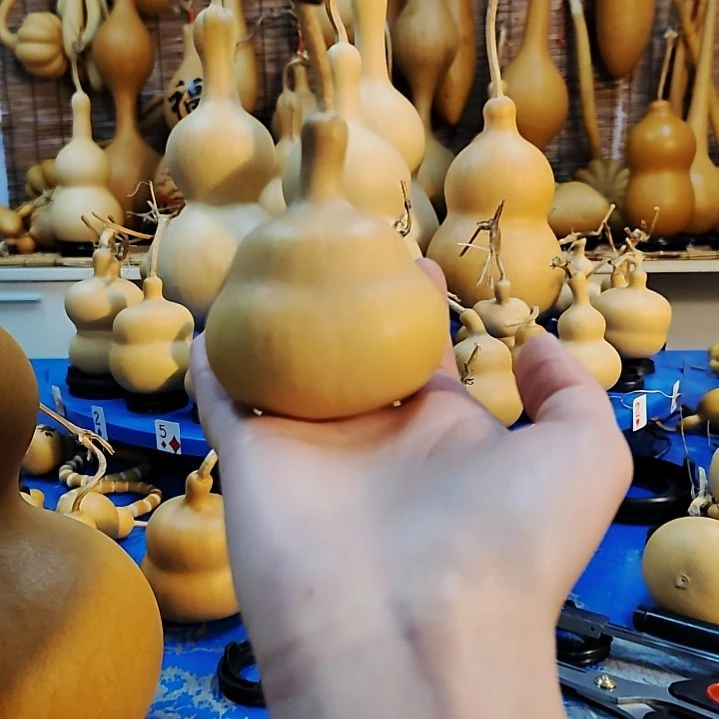 用****7他他他他他他他他他他