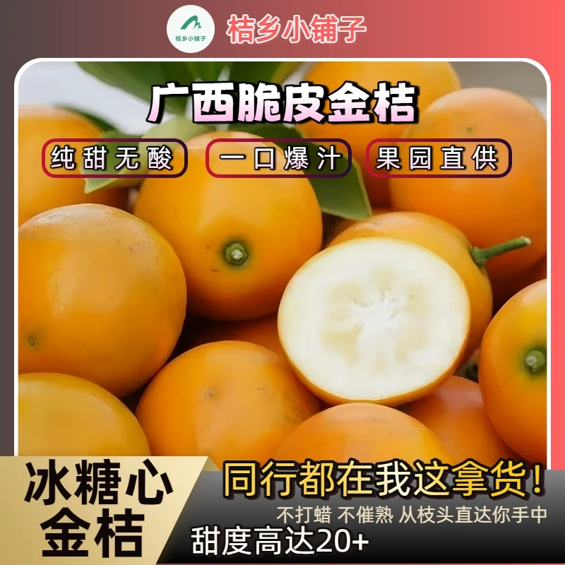 【纯甜无酸】广西融安脆皮二代金桔应季新鲜桔子水果桂林滑皮小橘子