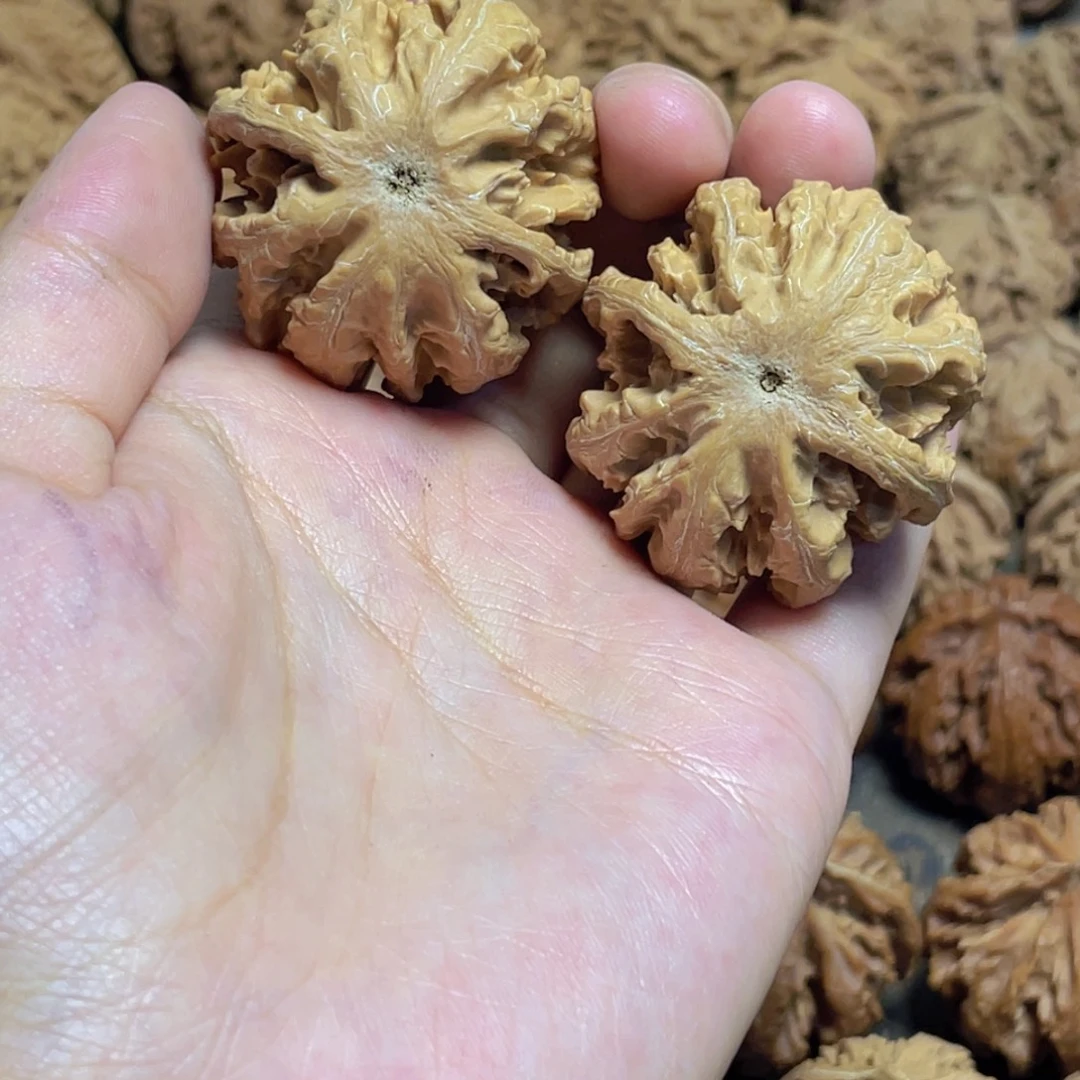 累***累吊坠桃核7 秦岭灯笼野生小众
