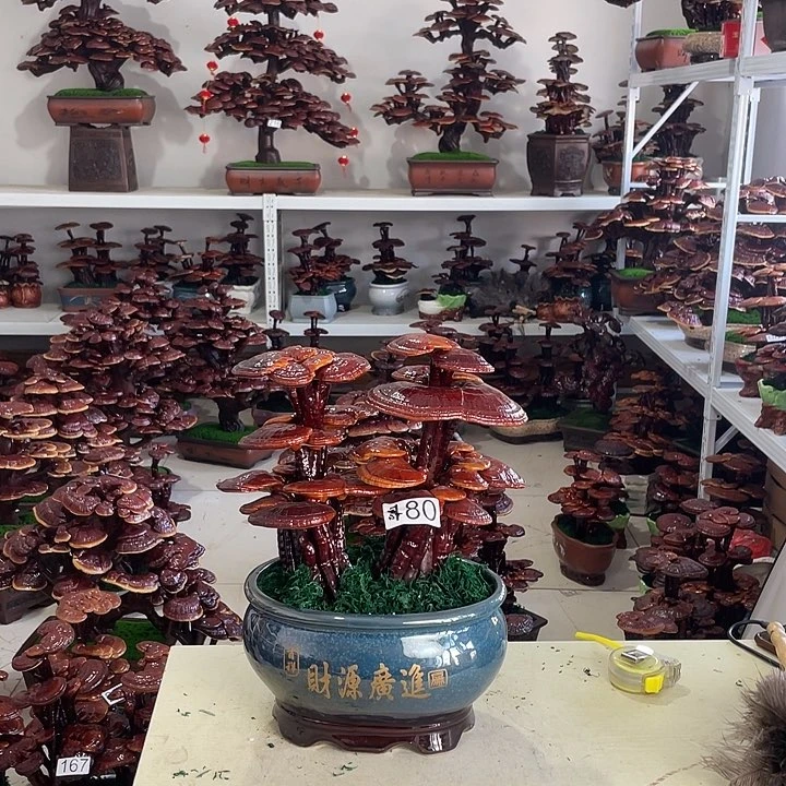 哈*妞1808888888888888888