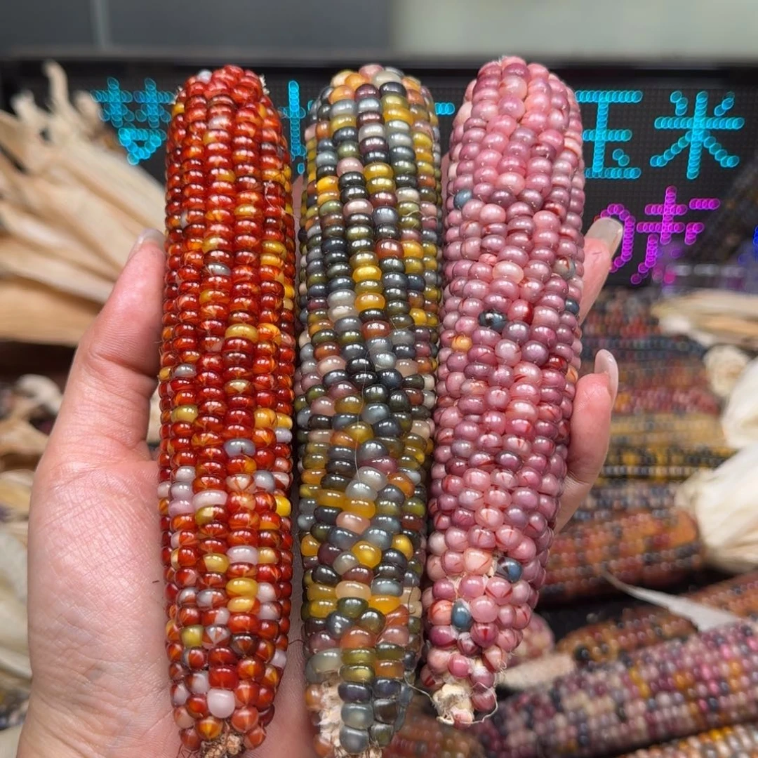 柏香籽/百香籽吊坠ʚ**星