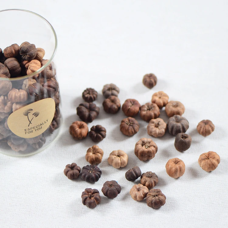 【小桔瓜】进口植物干花果实 永生花香薰香包 森系花环玻璃罩材料