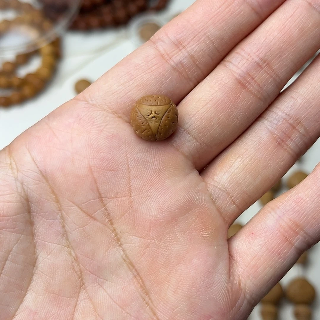 凤眼菩提手串龙眼单颗1.2+