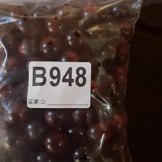 大果紫檀（缅甸花梨）948