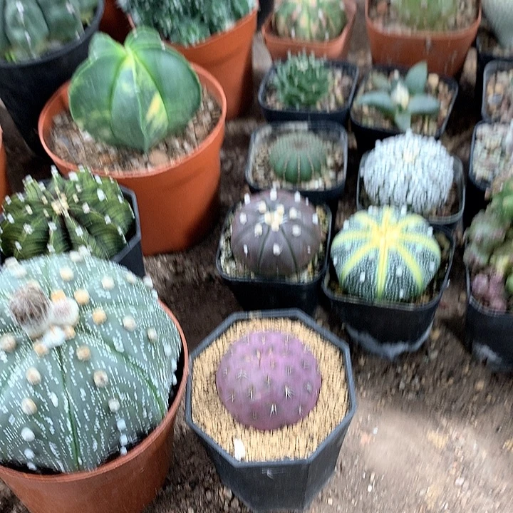 ****y33333333333333333333