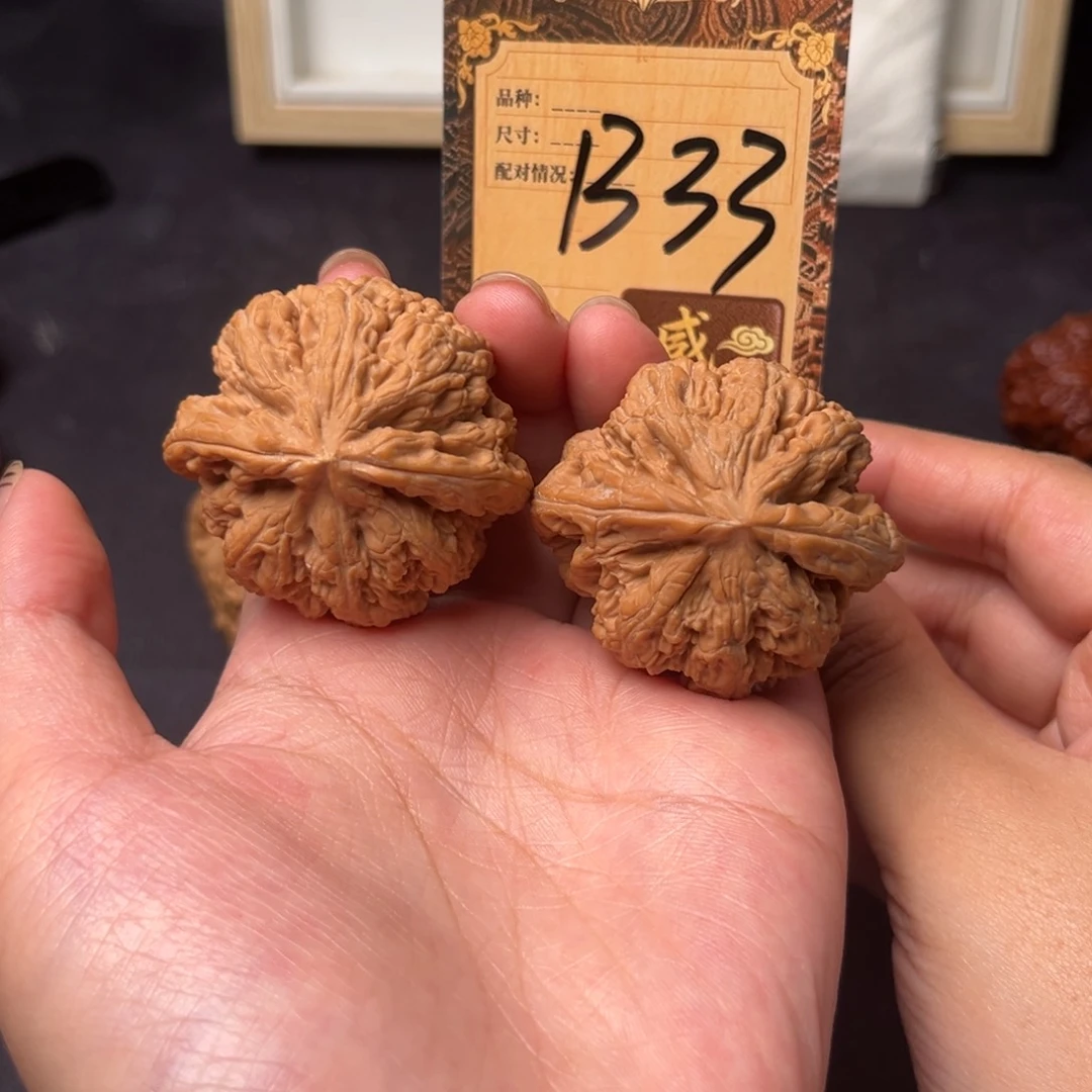 核桃b33粗筋1111111