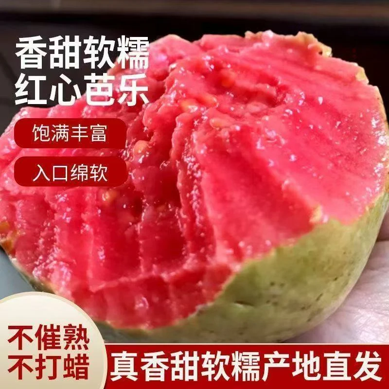 正宗福建红心白心奶油芭乐软糯香甜冰淇淋口感当季新鲜水果