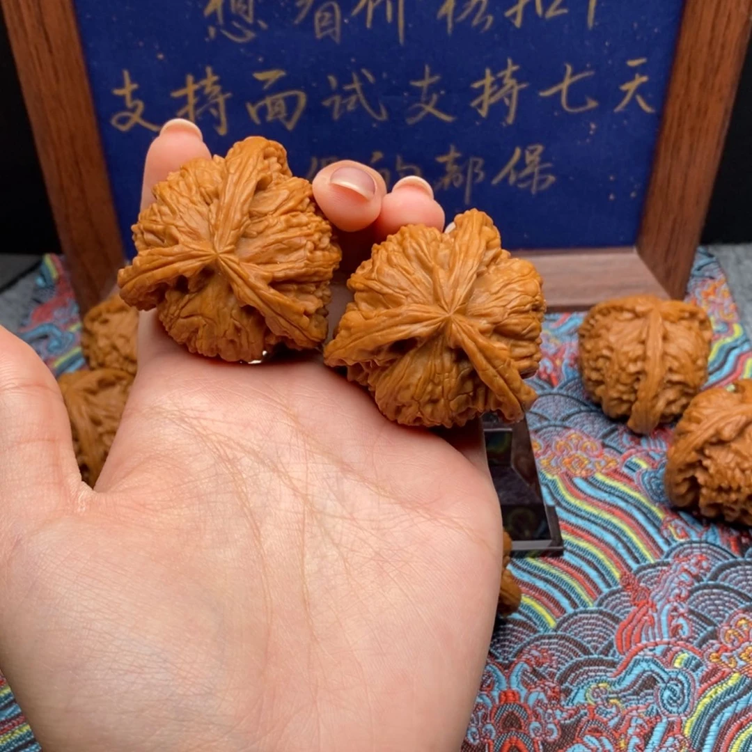 【闪购商品】慢***茶白狮