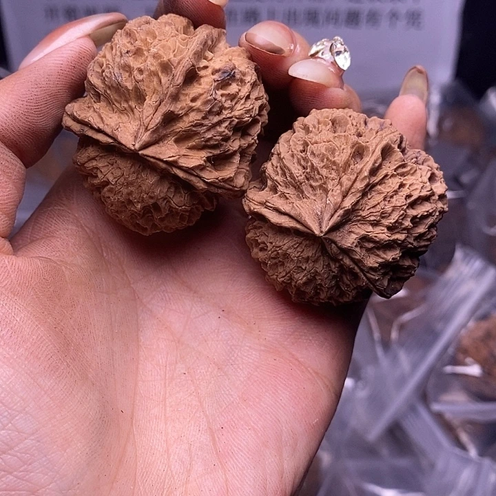 核桃云南野生铁核桃181号41mm