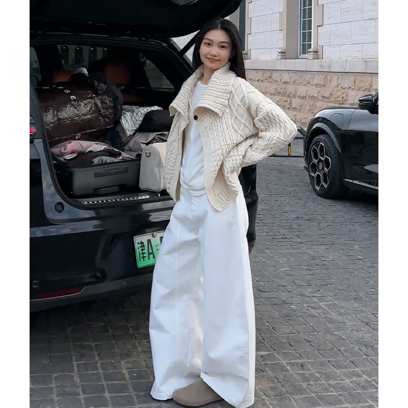 2025秋季新款法式气质宽松翻领长袖毛衣开衫百搭高腰显瘦阔腿长裤