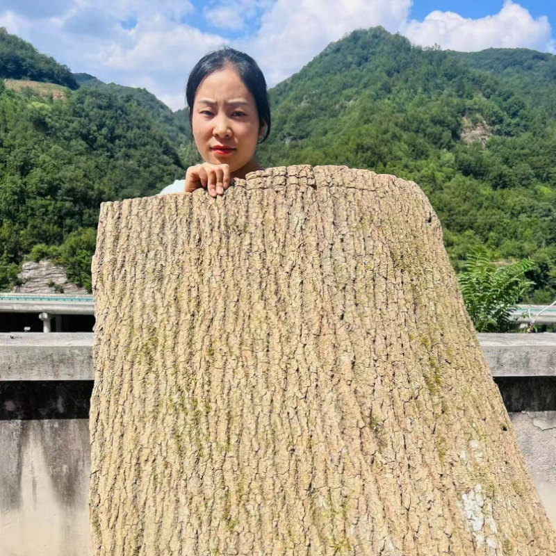 略阳杜仲【泡茶/泡酒/煮水/煲汤】陕西汉中秦岭杜仲30老皮