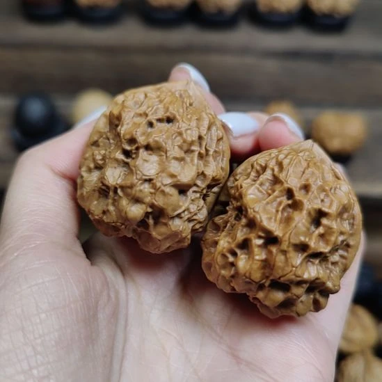 文玩核桃吊坠逆鳞包王40