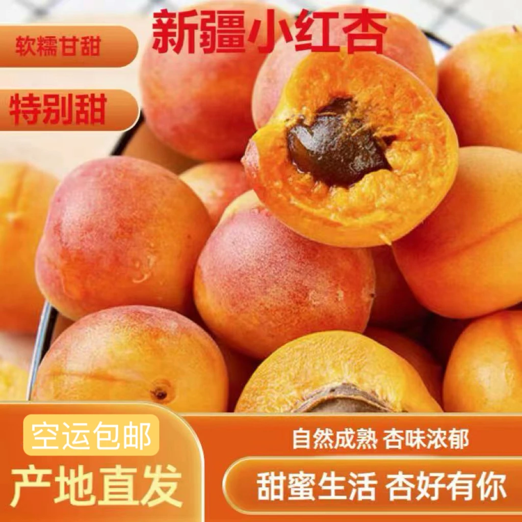 新疆阿克苏小红杏（吊干杏）纯甜杏现摘现发 新鲜水果 西安仓发货