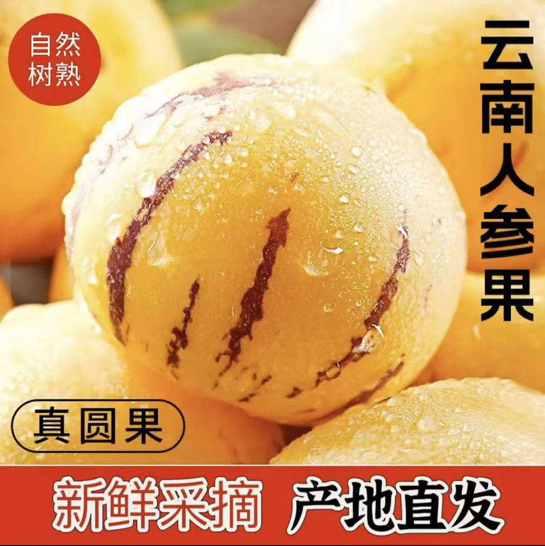 正宗云南石林树熟人参果黄肉圆果大果黄心清甜多汁应季水果新鲜
