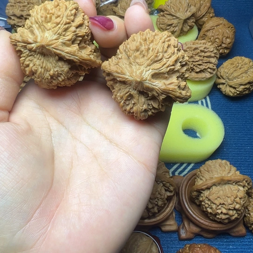 木质全品无修满天星