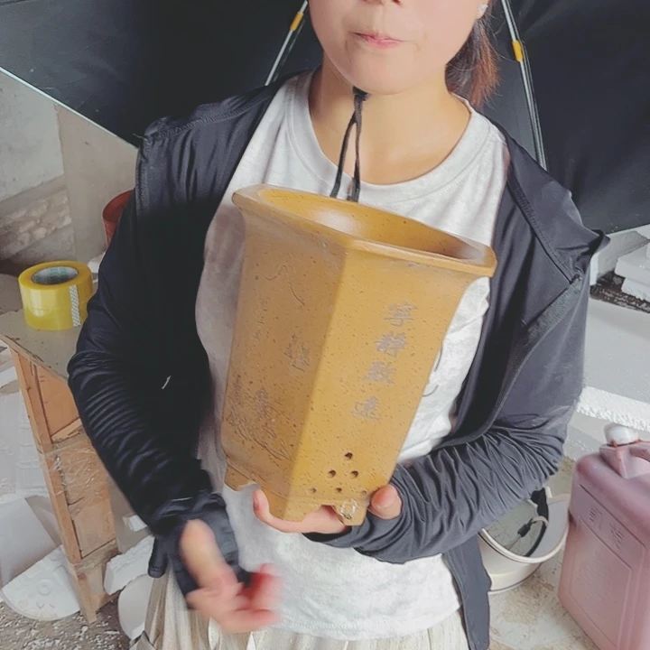 紫砂花盆宜兴紫砂精品花盆