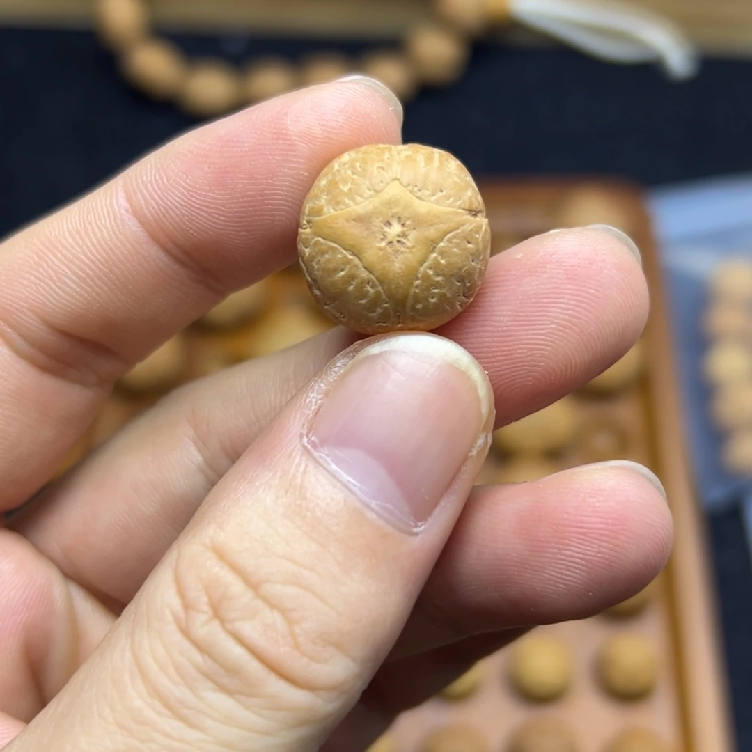 手串凤眼菩提18麒麟眼