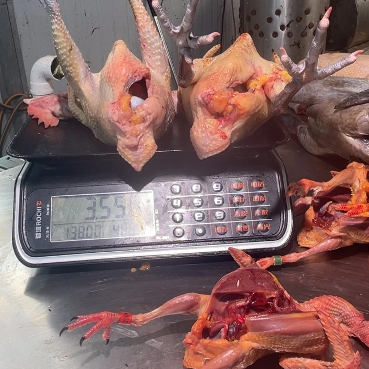 一号土鸡食用农产品中国大陆筛*