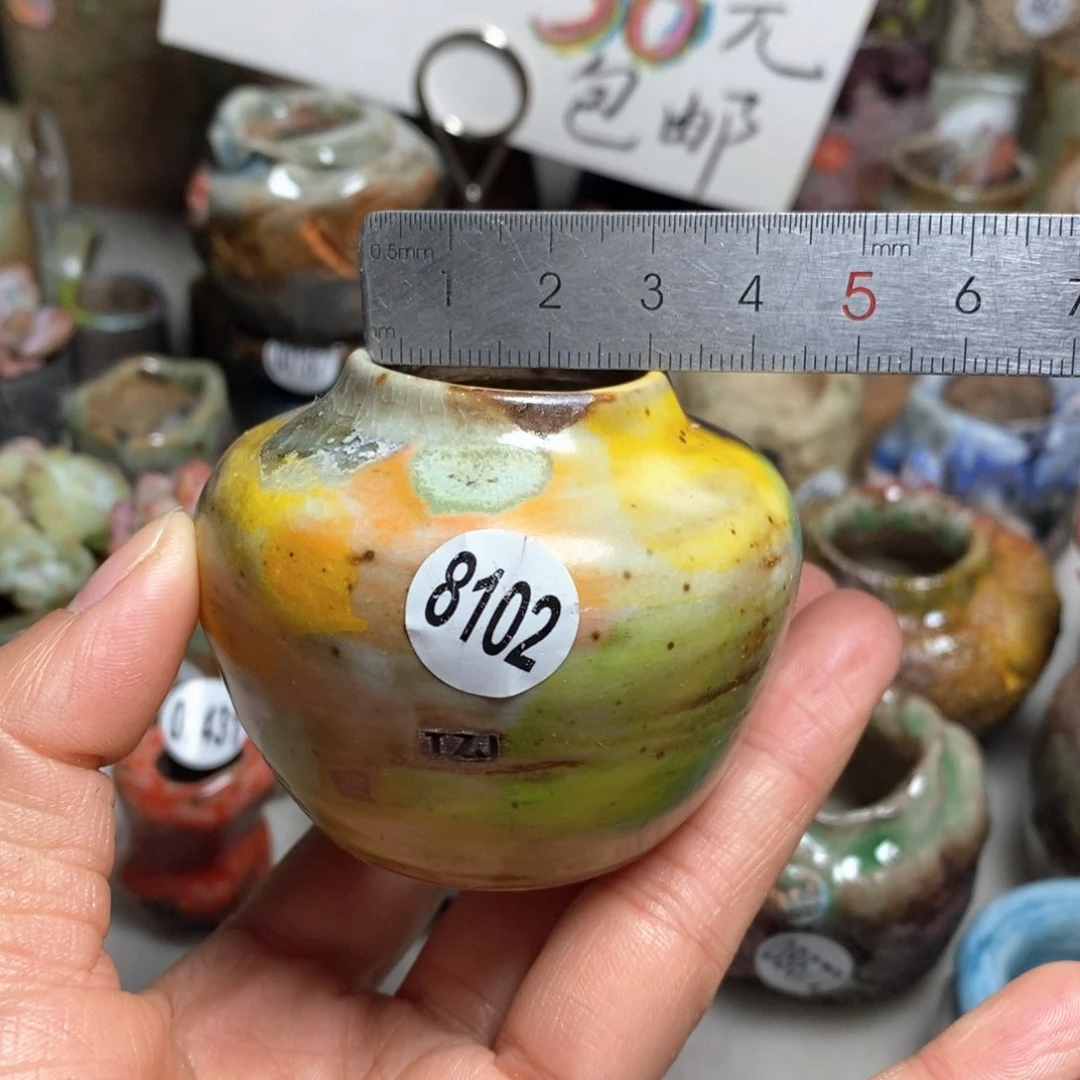 花盆拍5送一个小礼物