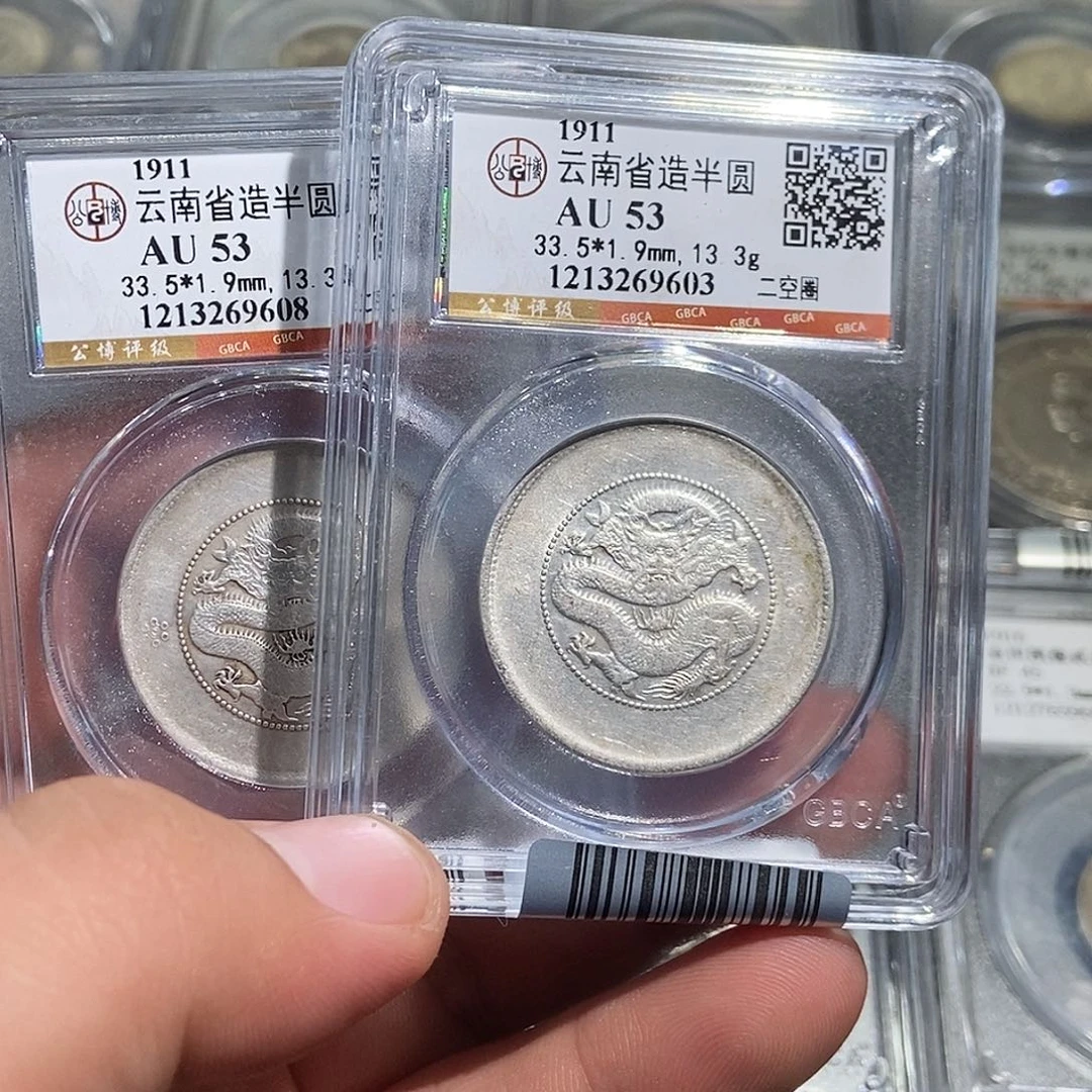 银大头云南半圆龙603 608