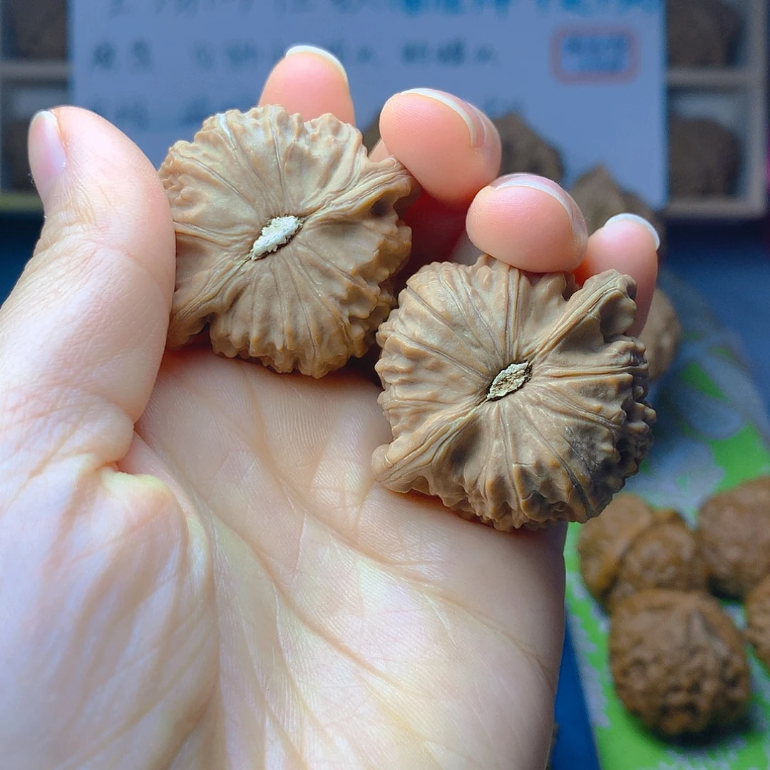 把件文玩核桃白狮子40