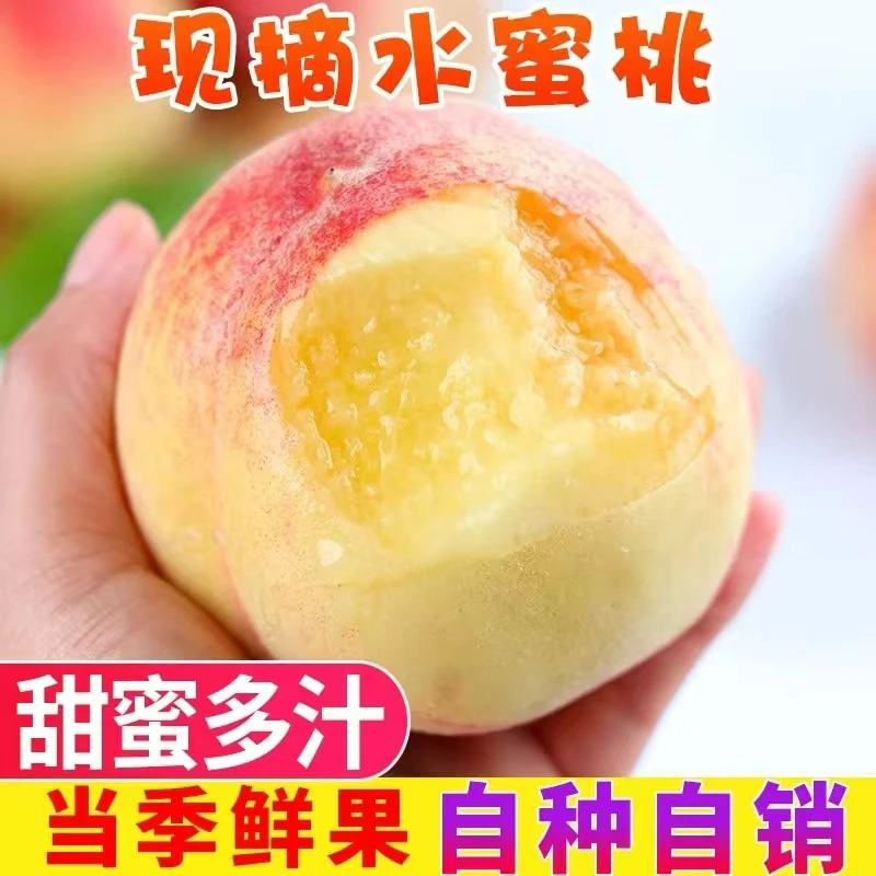 【礼好·甘肃】陕西高山水蜜桃 香甜多汁的桃子