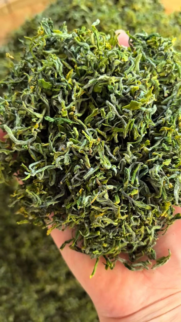 新春茶鲜香味正口感好耐泡