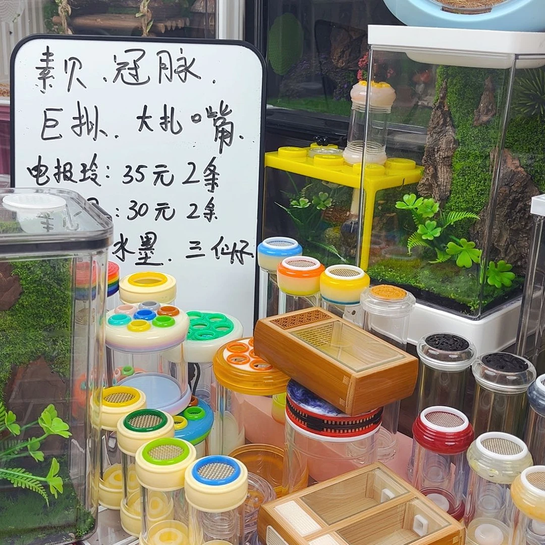 拍拍拍拍拍拍拍拍