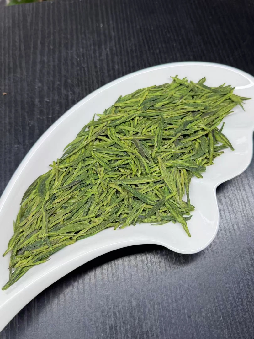 龙井43打头芽绿版绵柔豆香新茶