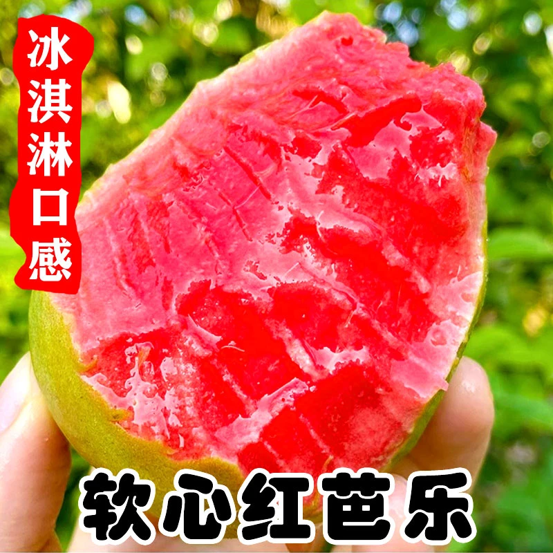 【顺丰包邮】广西软糯奶油红心白心双拼番石榴新鲜低糖低卡水果