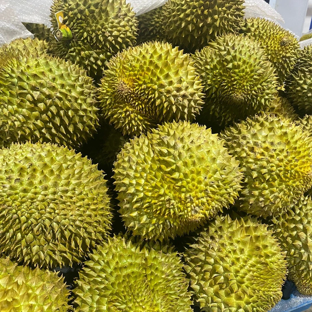 【顺丰或邮政空运】单果 金枕新鲜金枕榴莲整颗带壳软糯香甜