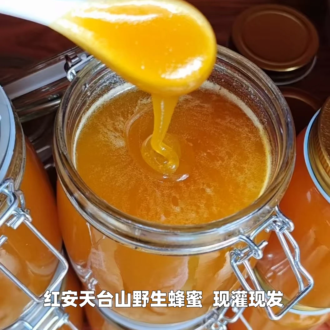 红安特产天台山野生蜂蜜500g瓶装农村野生蜂蜜大山深处蜂蜜