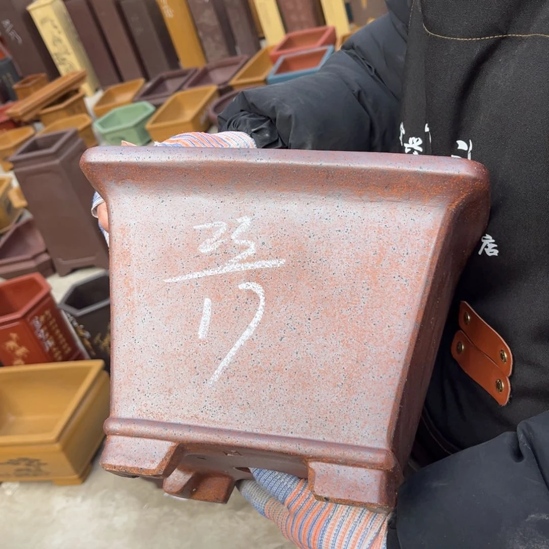 紫砂花盆盆景艺术