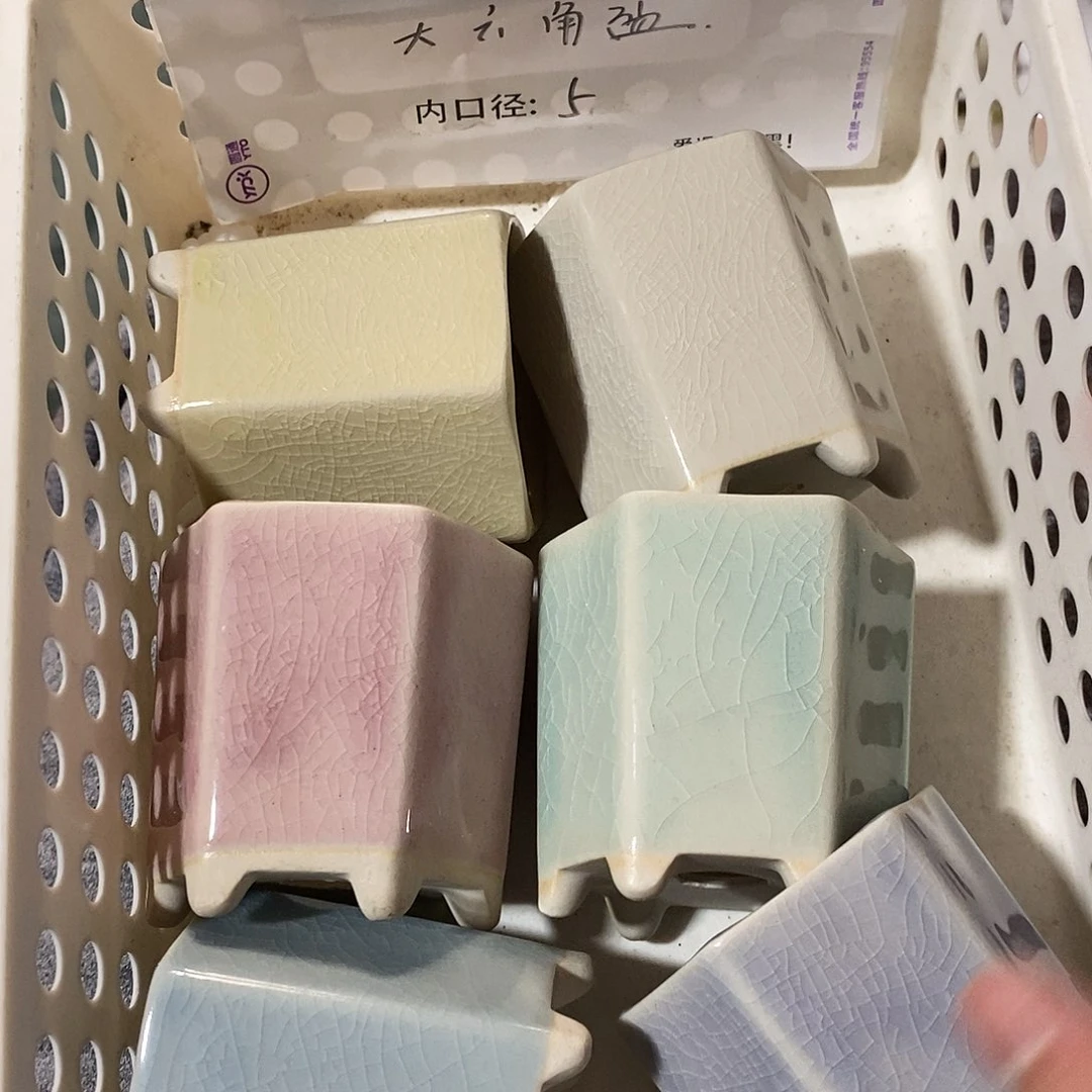 6个浮力随机「满9.9米包邮」