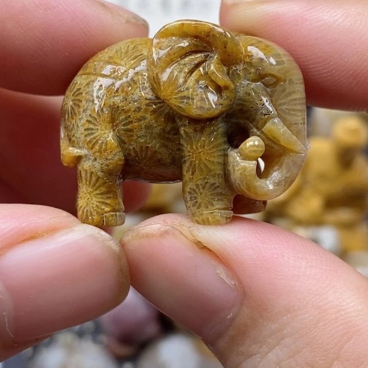 颈饰未镶嵌硅化珊瑚（珊瑚玉）有瑕