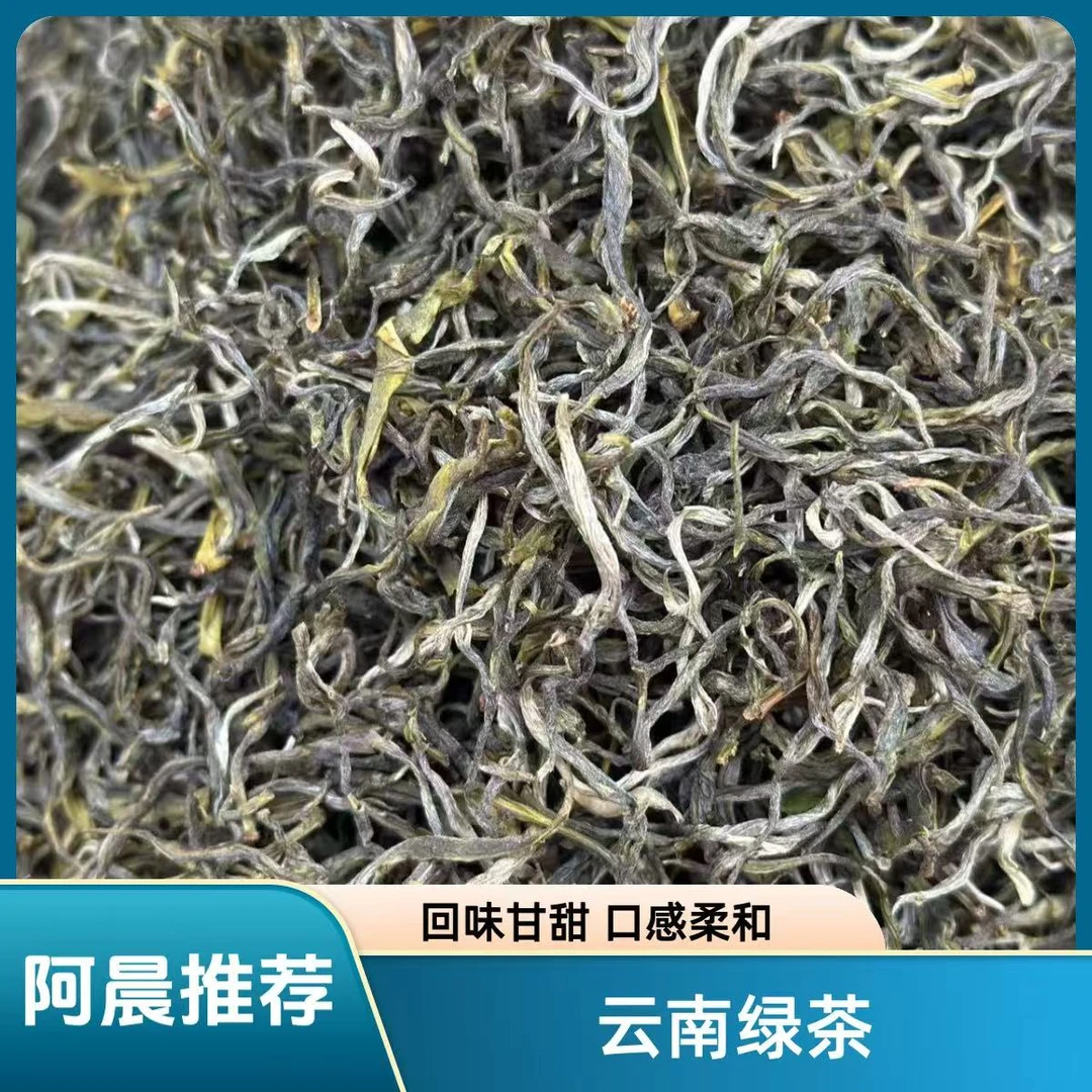 【普洱老家阿晨推荐】2025年云南绿茶（散茶）