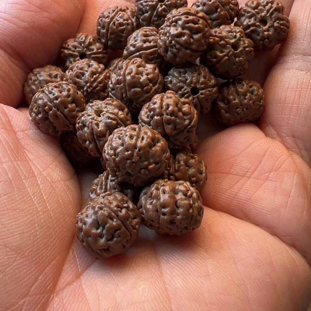 吊坠金刚菩提5瓣12➕纯血老树王手持