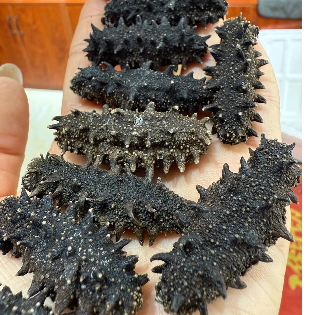 福利宠粉  大连深海 海参无添加泡发15倍 90-110头