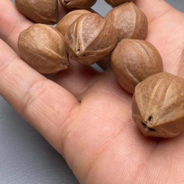 橄榄核手串醉****1橄榄核666