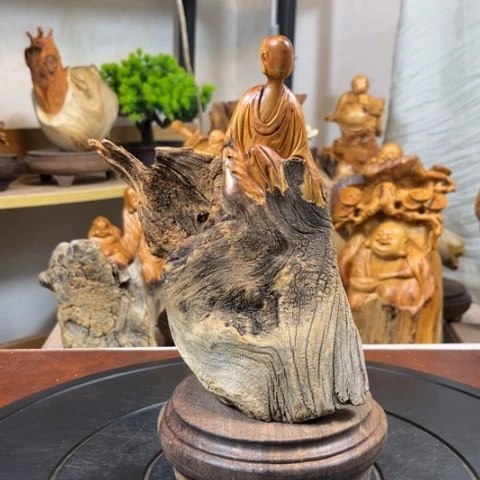 柏木（崖柏）v b b h h j j j j j k