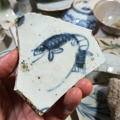 瓷片瓷片瓷片瓷片瓷片