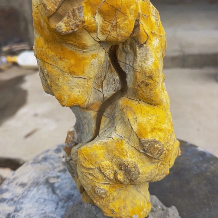 儒***叶附石盆景一物一拍