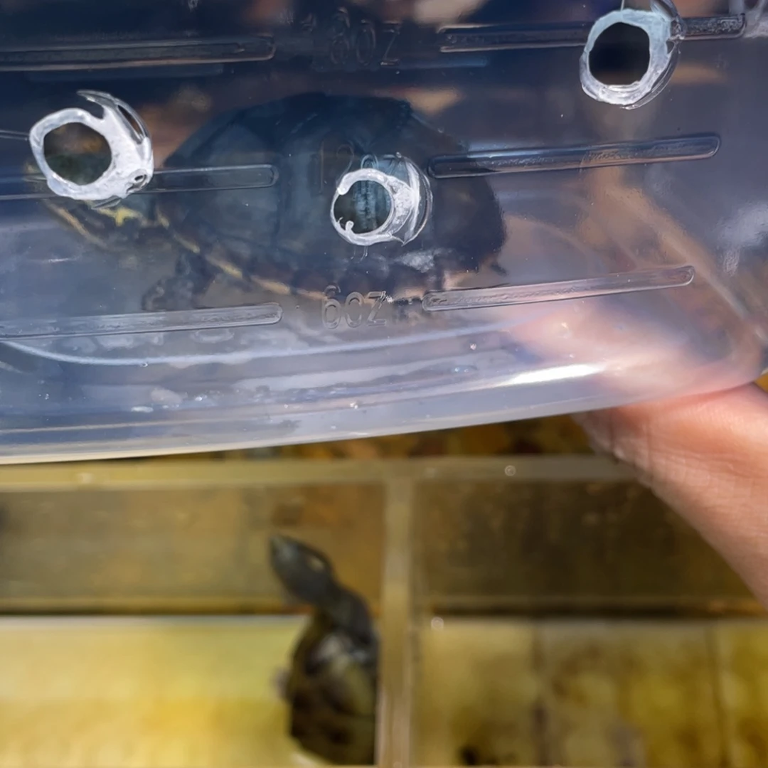 母W**l点点滴滴的订单