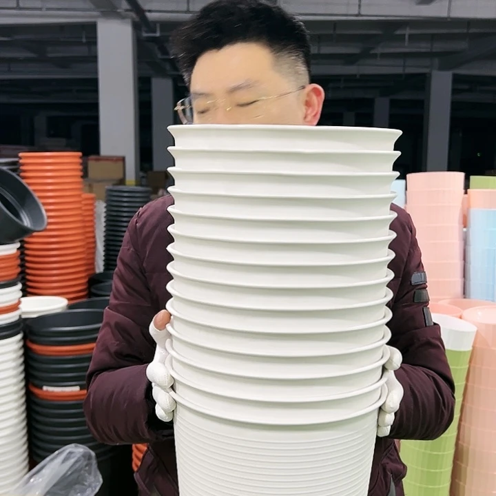 正品高陶口24高24白色5只无托