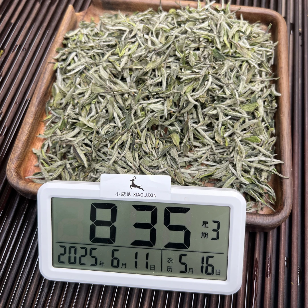 2025牡丹王 ① 小鹿收茶 福鼎白茶 6月11