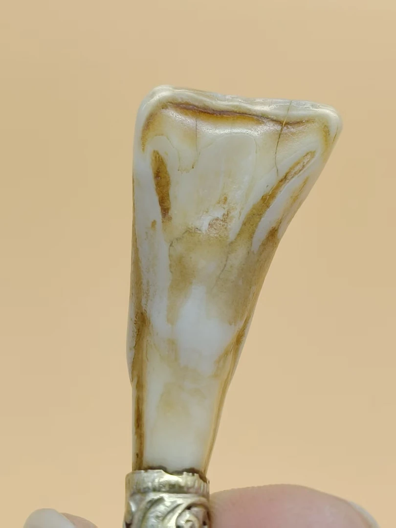 锌合金吊坠 W101孤品马牙裸牙吊坠