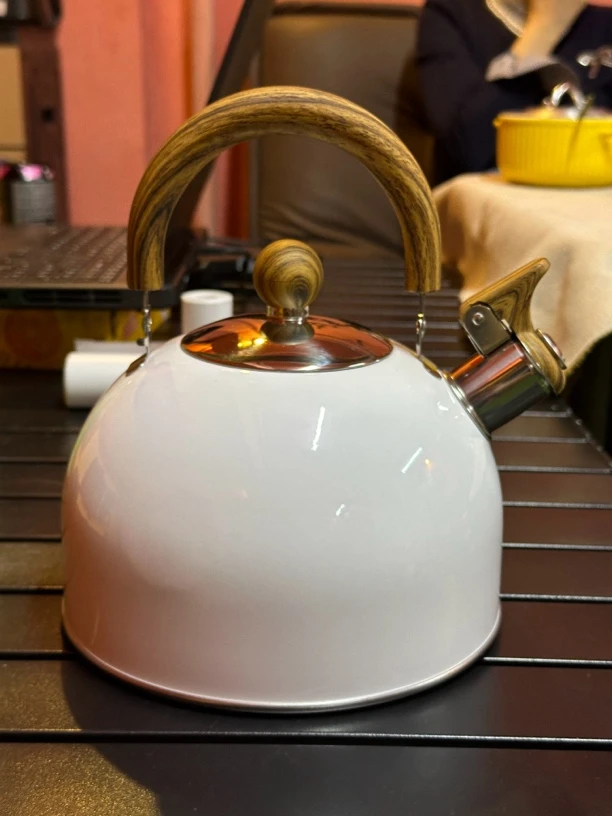 欧美轻奢鸣笛烧水壶不锈钢电磁炉燃气灶通用家用户外折叠手柄水壶